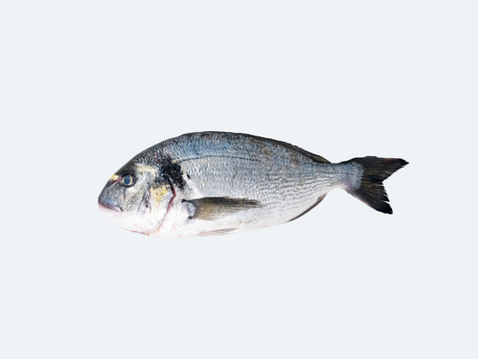 Greek Orata (Whole Fish)