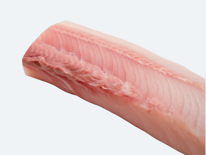 Hiramasa Saku | Yellowtail Amberjack