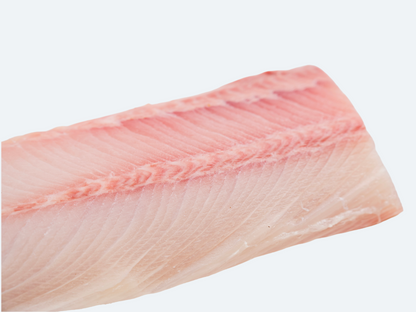 Hiramasa Saku | Yellowtail Amberjack