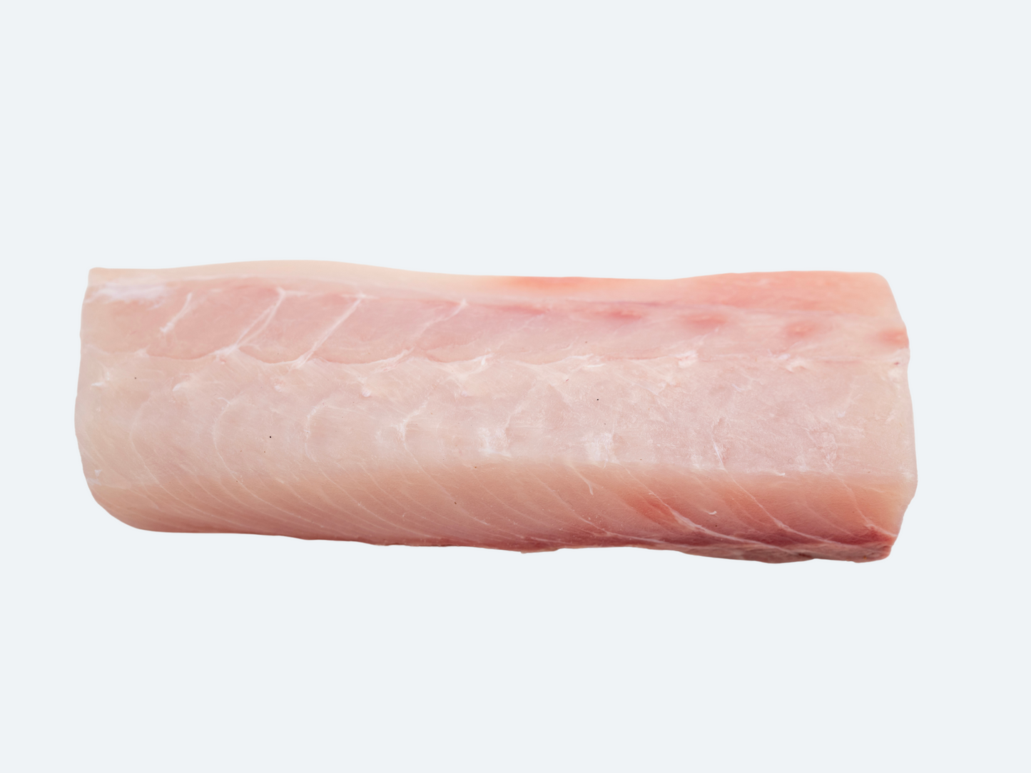 Hiramasa Saku | Yellowtail Amberjack