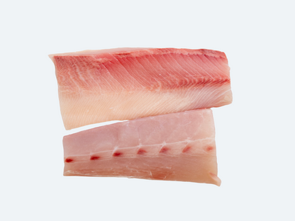 Hiramasa Saku | Yellowtail Amberjack