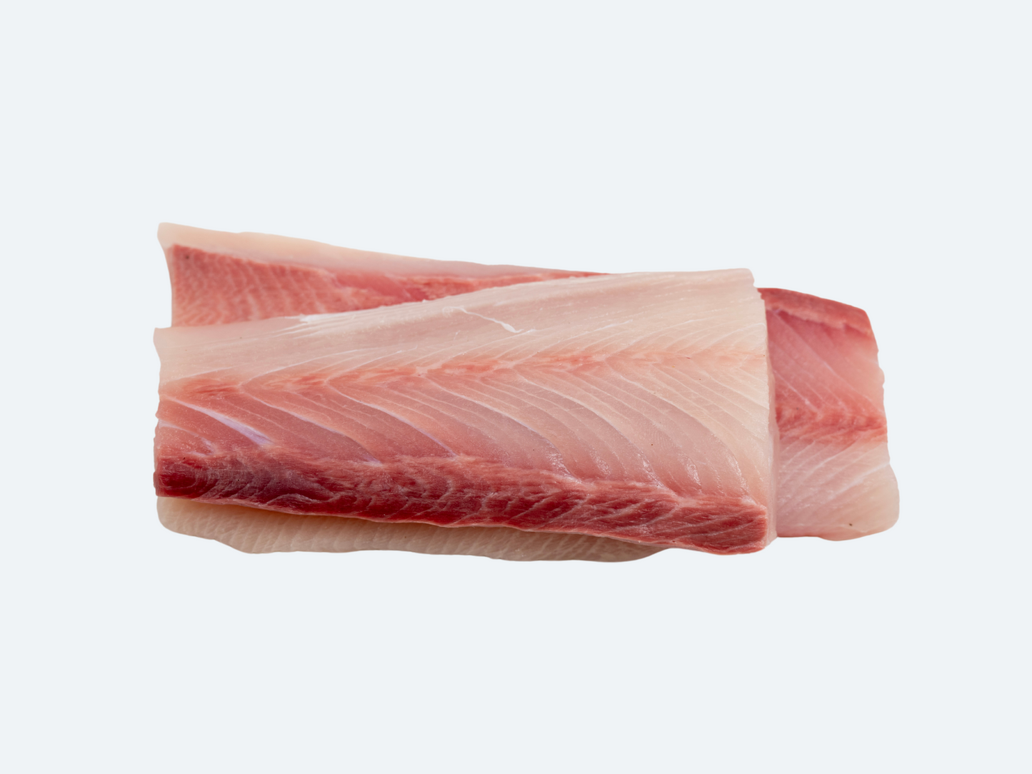 Hiramasa Saku | Yellowtail Amberjack