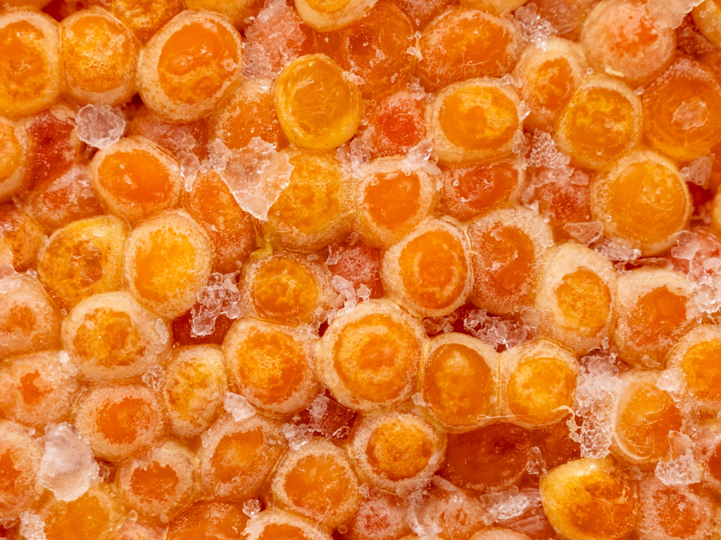 Alaska Salted Salmon Roe