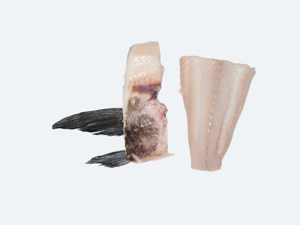 Wild Black Cod Collar and Tail