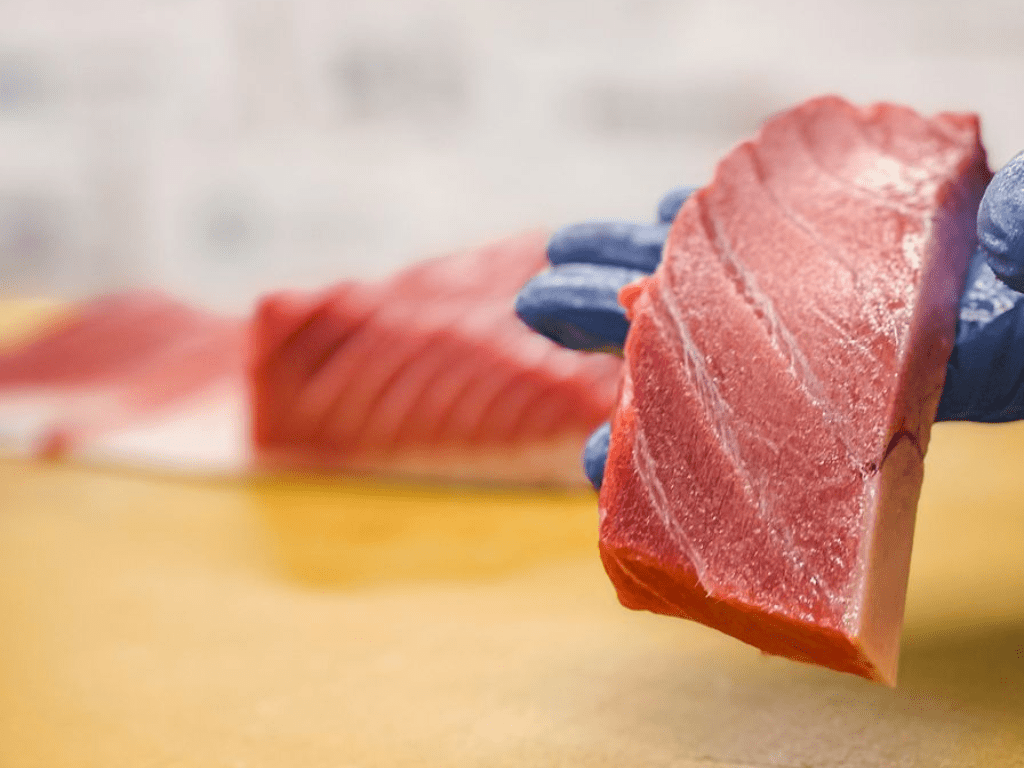 Bluefin Tuna Chu-Toro