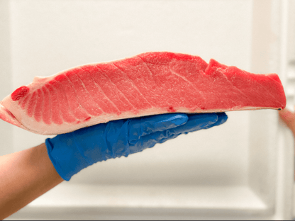Bluefin Tuna O-Toro