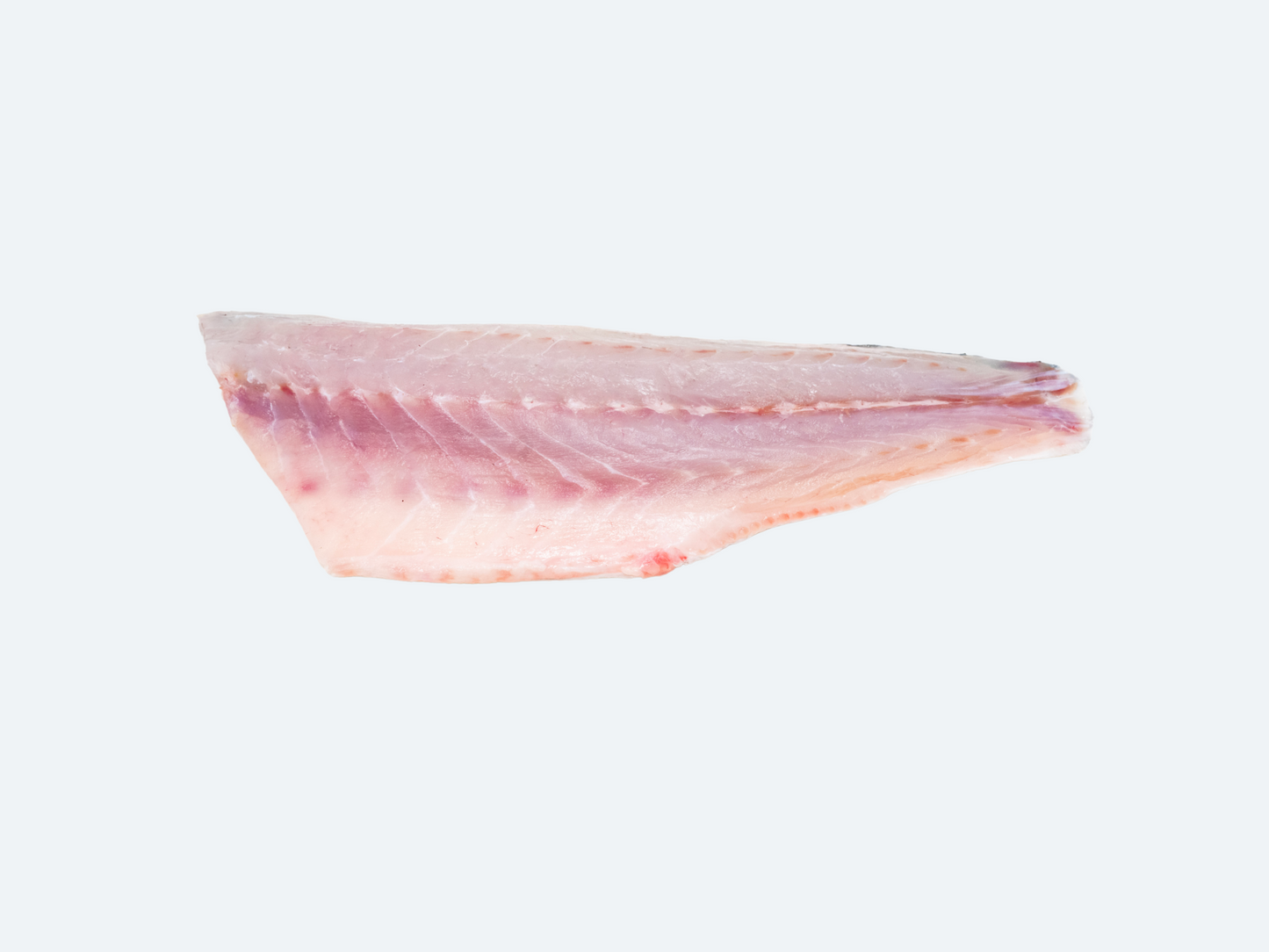 Frozen Branzino