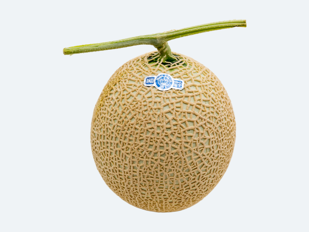 Japanese Crown Melon