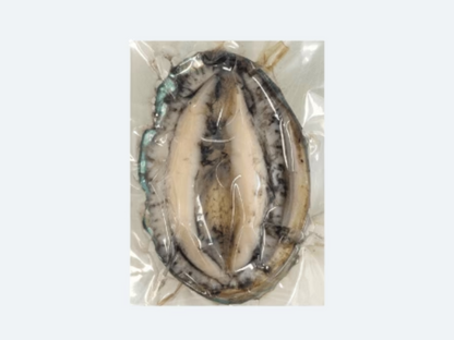 Frozen Abalone
