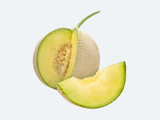 Japanese Crown Melon