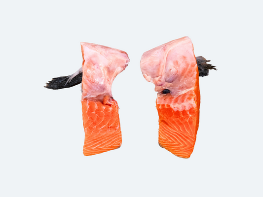 Salmon Kama (Collar)