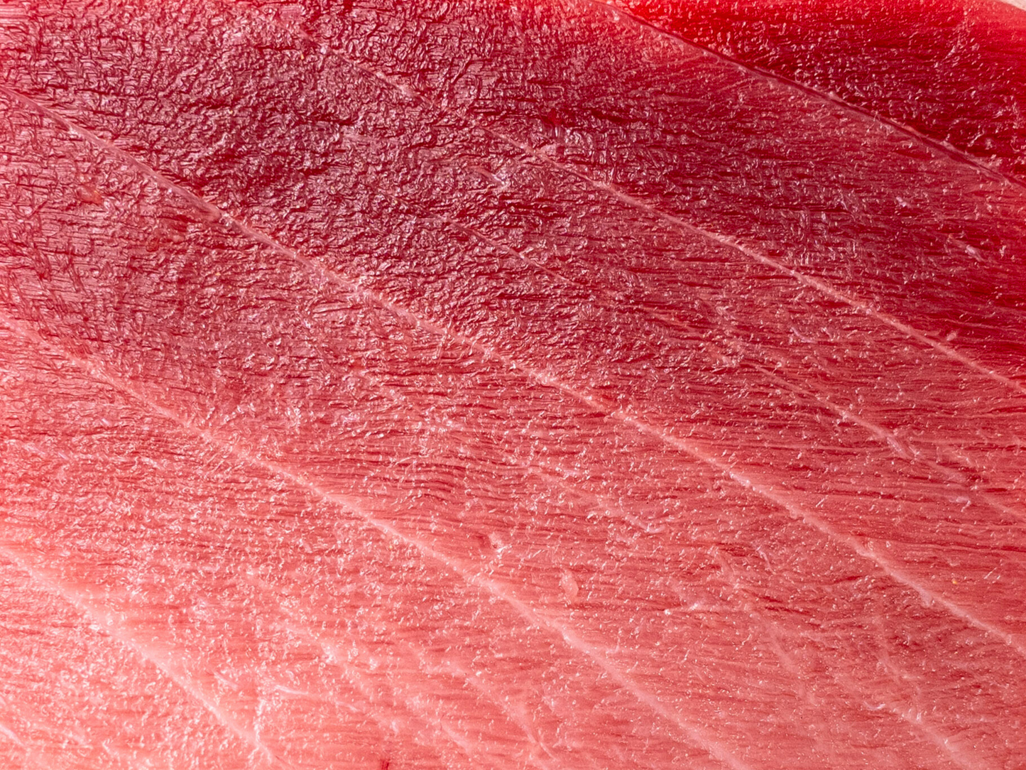 Bluefin Tuna Chu-Toro