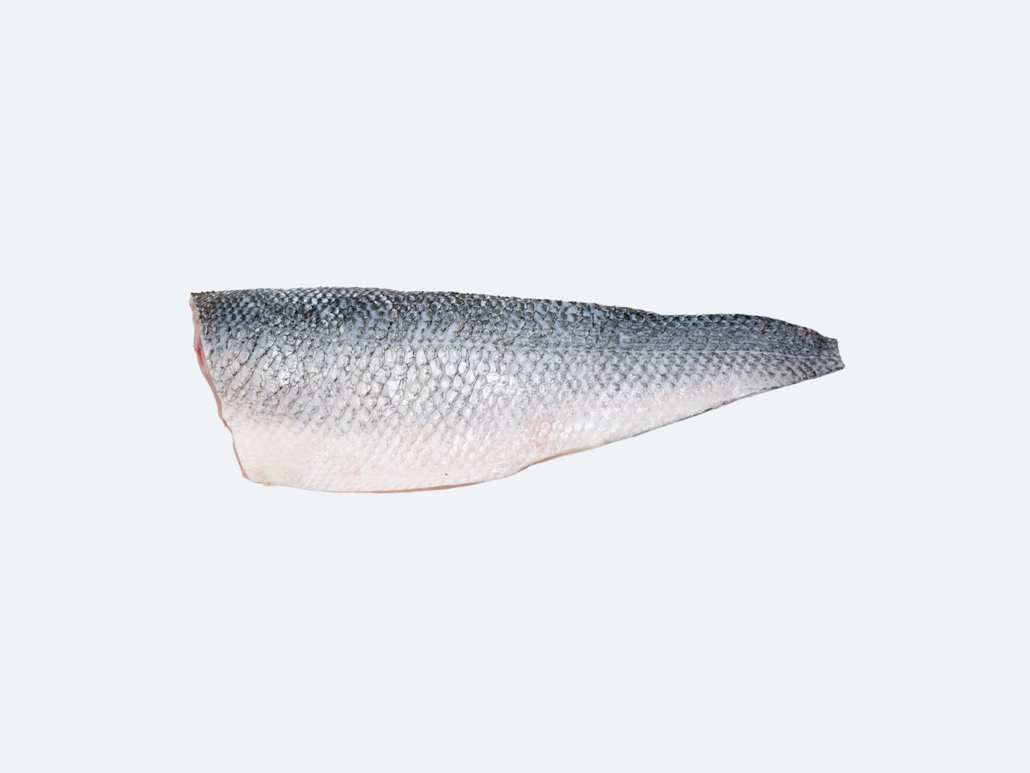 Frozen Branzino