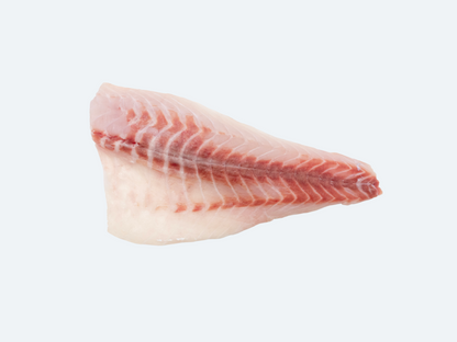 Frozen Striped Bass Fillet